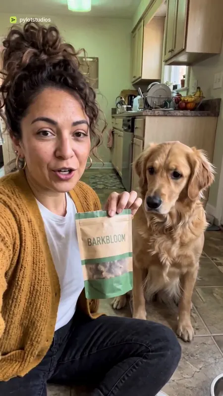 A presenter in a kitchen with a golden retriever and a bag of Barkbloom treats, poster frame from the Barkbloom pet treats sample advert